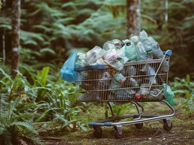 Abandoned Cart